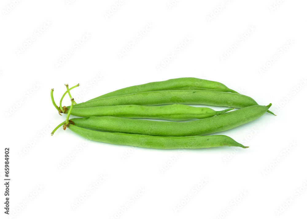 common bean common bean