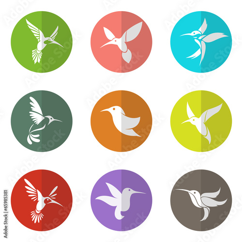 Vector group of hummingbird in the circle