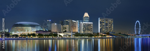 Skyline of Singapore at night #65985948