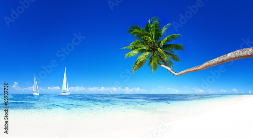 Fototapeta Naklejka Na Ścianę i Meble -  Beach and palm tree