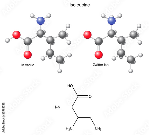 Isoleucine (Ile) - chemical structural formula and models