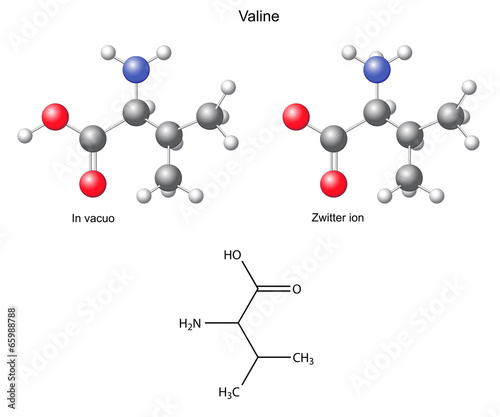 Valine (Val) - chemical structural formula and models