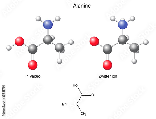 Alanine (Ala) - chemical structural formula and models