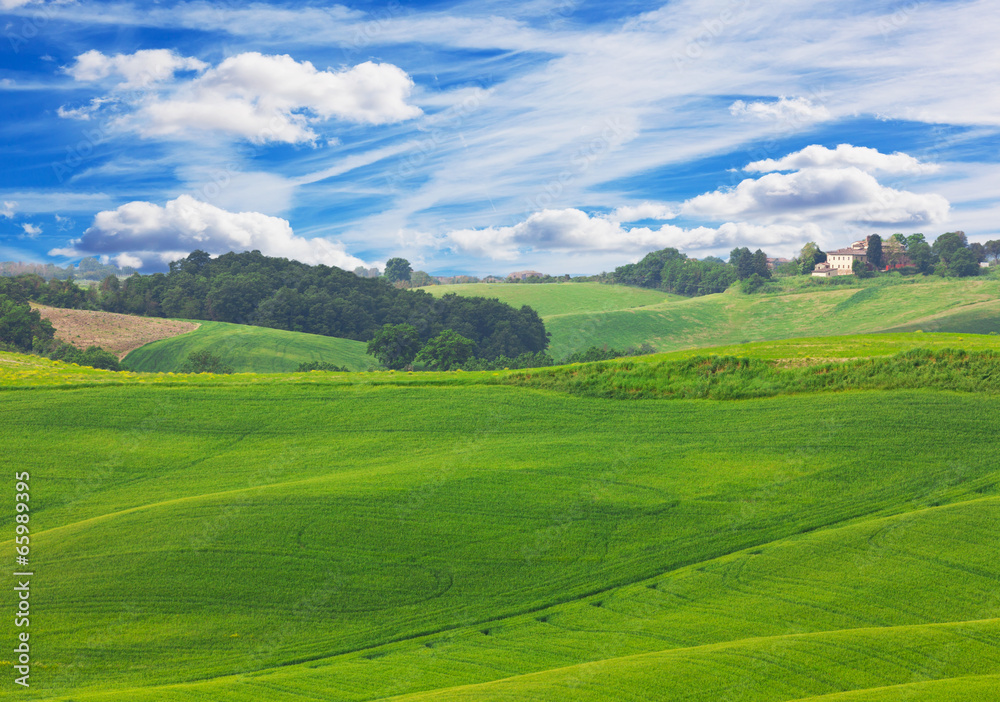 Green hills of Tuscany under  blue sky with white clouds
