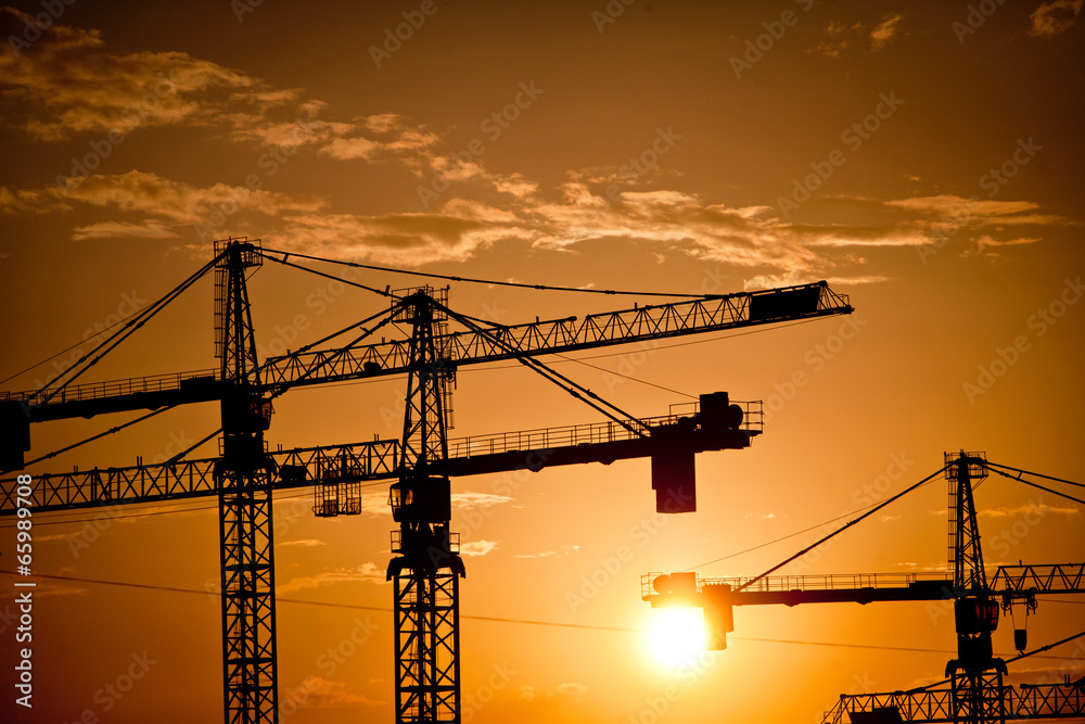 Cranes at dusk