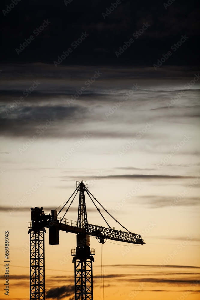 Obraz premium Cranes at dusk