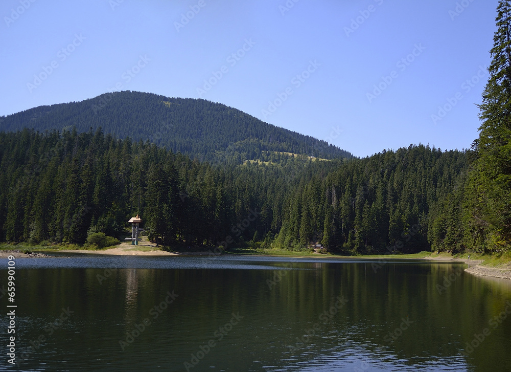 отражение леса в водной глади озера