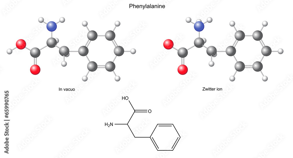Phenylalanine (Phe) - chemical structural formula and models Phenylalanine (Phe) - chemical structural formula and models