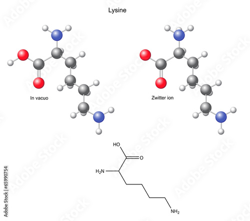 Lysine (Lys) - chemical structural formula and models