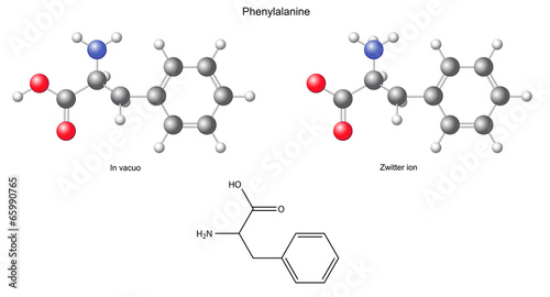 Phenylalanine (Phe) - chemical structural formula and models