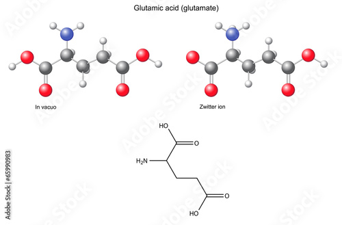 Glutamic acid (Glu) - chemical structural formula and models