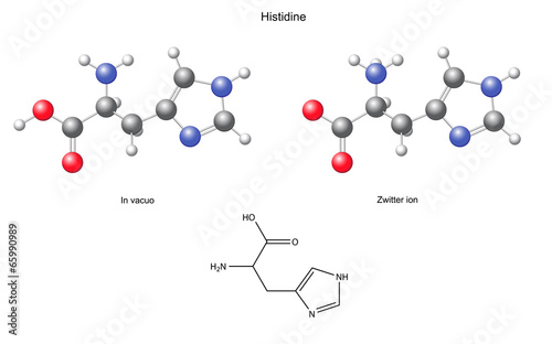 Histidine (His) - chemical structural formula and models