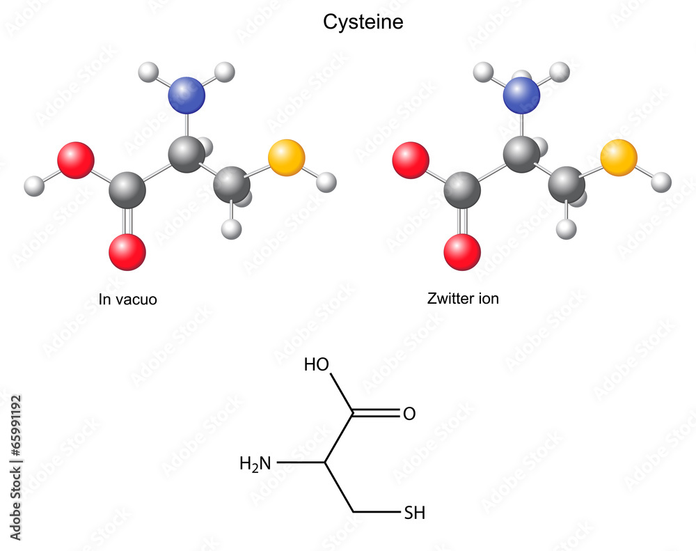 Cysteine (Cys) chemical structural formula and models Stock