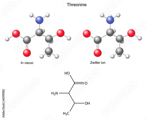 Threonine (Thr) - chemical structural formula and models