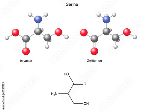 Serine (Ser) - chemical structural formula and models