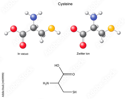 Cysteine (Cys) - chemical structural formula and models