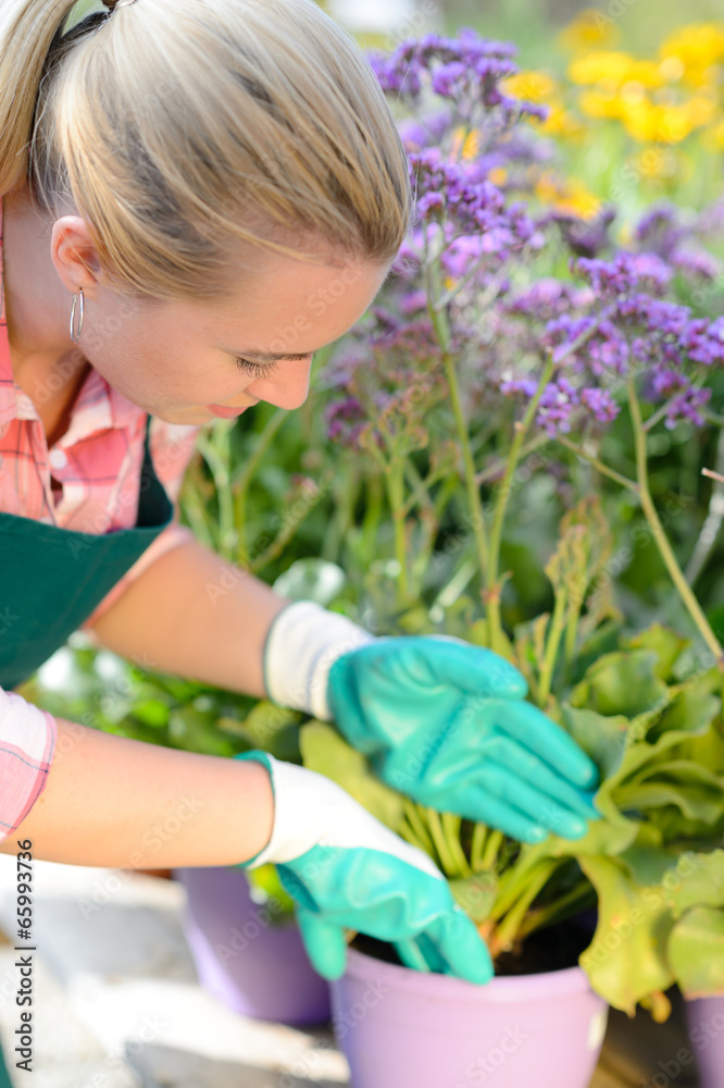 Garden center woman planting purple potted flowers Garden center woman planting purple potted flowers