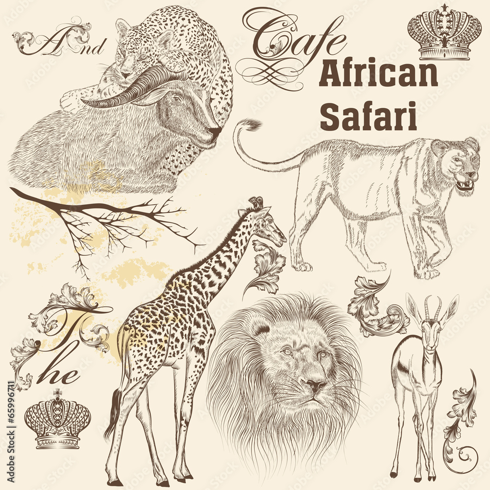 Fototapeta premium Collection of vector hand drawn African animals in vintage st