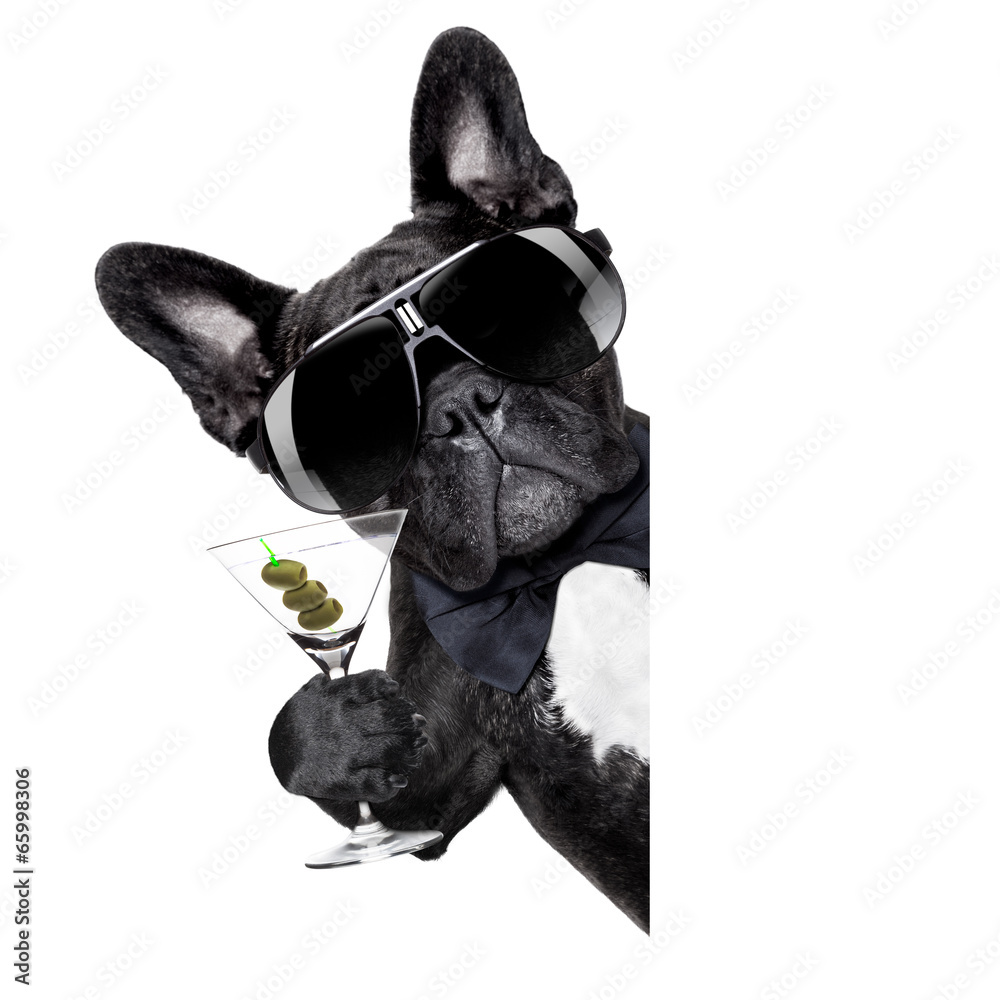 martini dog - obrazy, fototapety, plakaty 