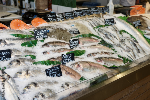 Choise of fish on market display