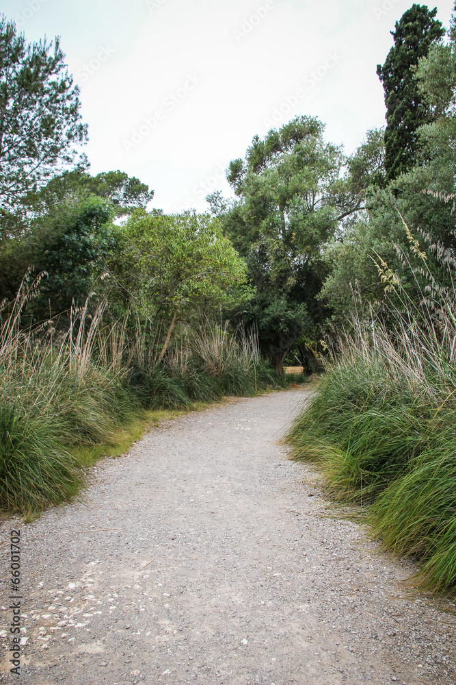 Walking on a Path