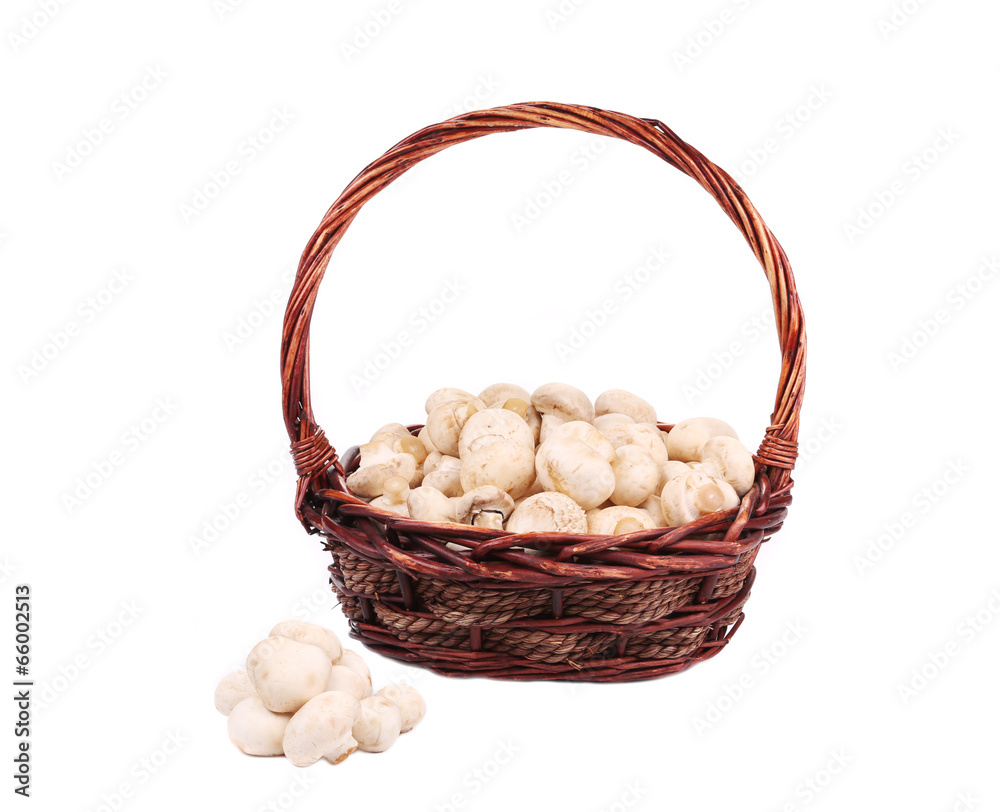 Wicker basket with champignon mushrooms. Wicker basket with champignon mushrooms.