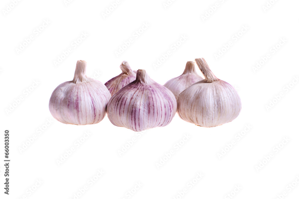 Five garlic on white background Five garlic on white background