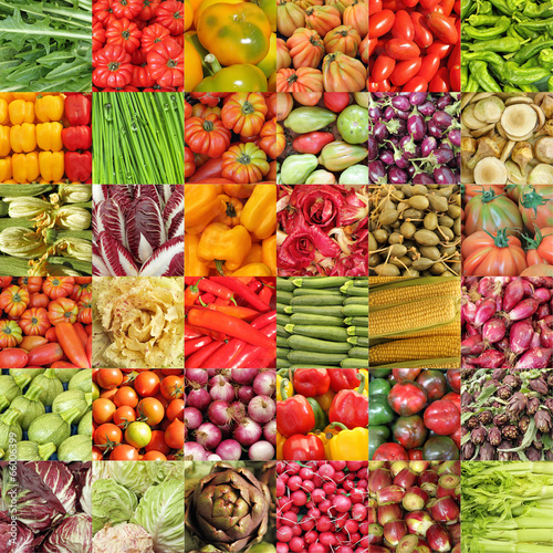 colorful vegetable background