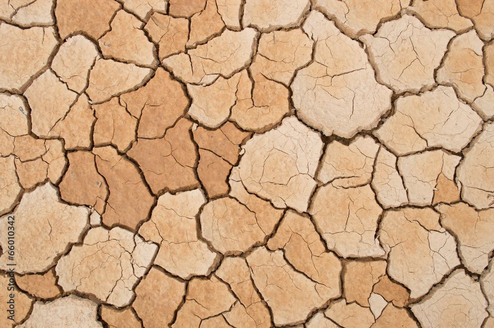 Dry soil Dry soil