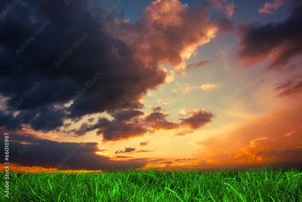 Green grass under dark blue and orange sky