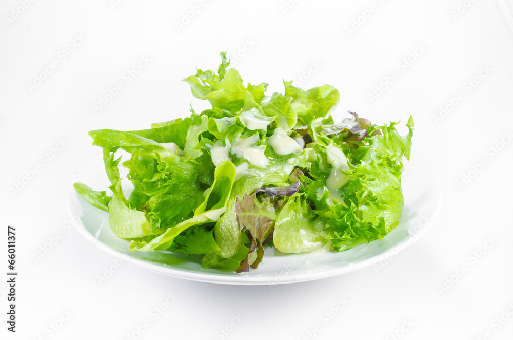Salad with green vegetable Salad with green vegetable
