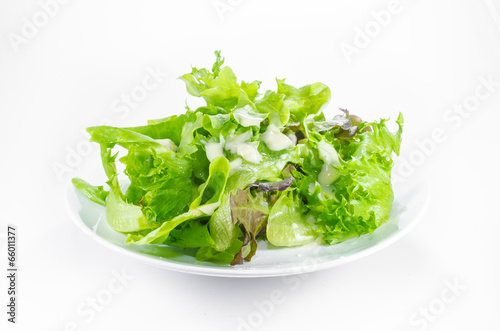 Photography Salad with green vegetable