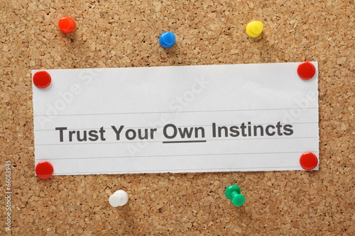 The phrase Trust Your Own Instincts on a cork notice board