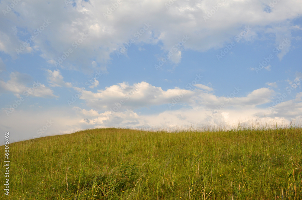 green field and blue sky