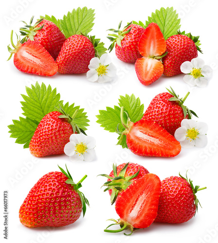 Set of strawberries with leaves and blossom isolated