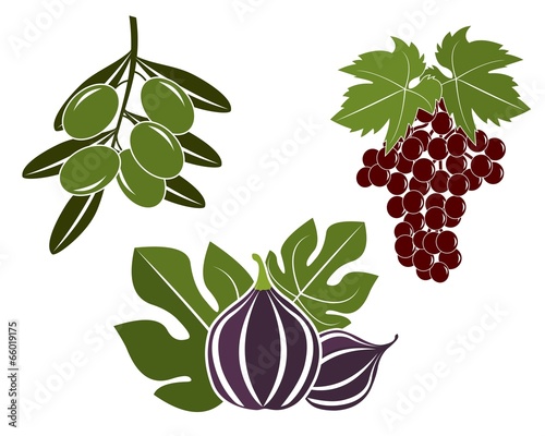 Fruits Vector Illustration