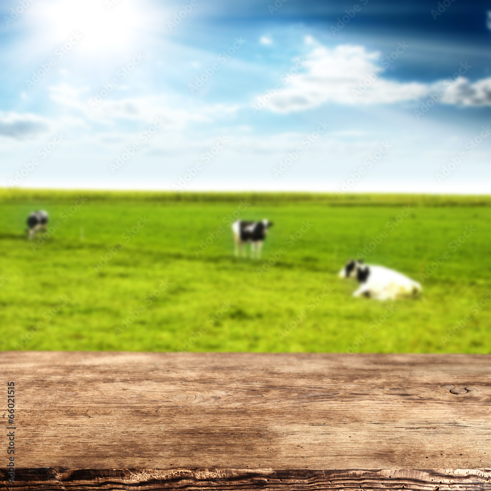 Fototapeta premium desk