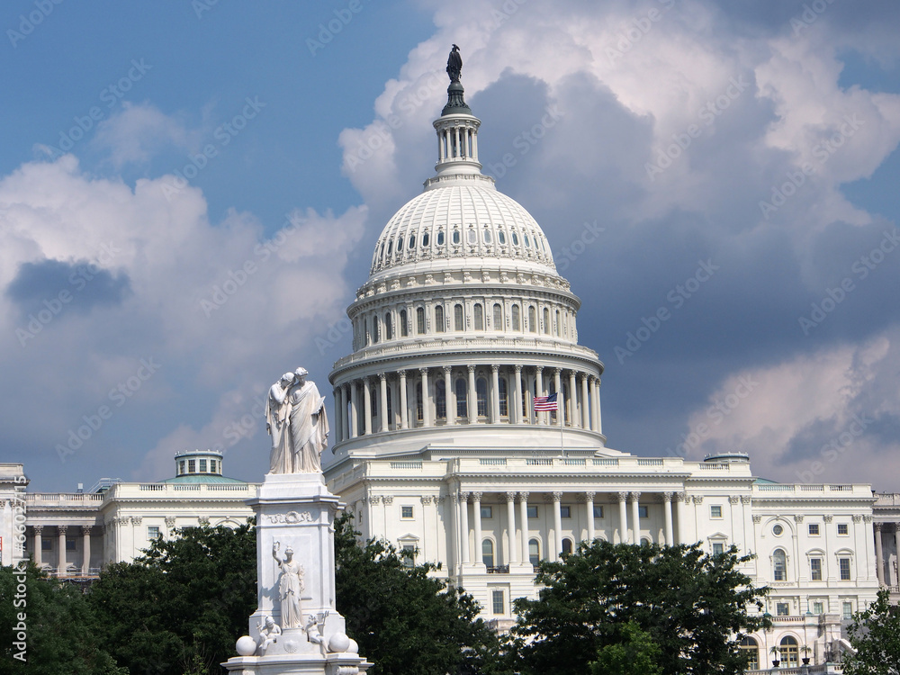 The Capitol, Washington, DC
