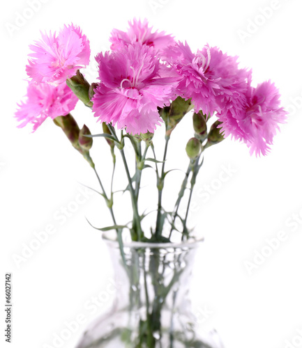 Beautiful summer flowers in vase, isolated on white