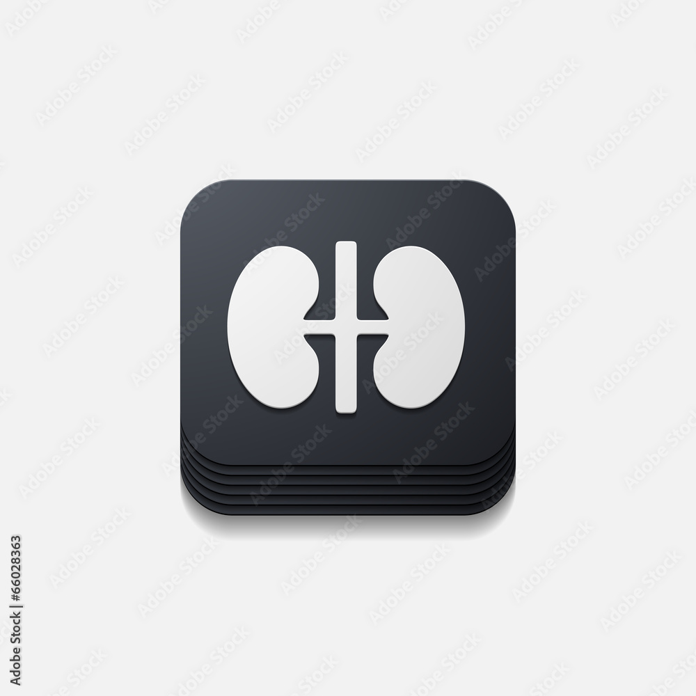 square button: kidneys square button: kidneys