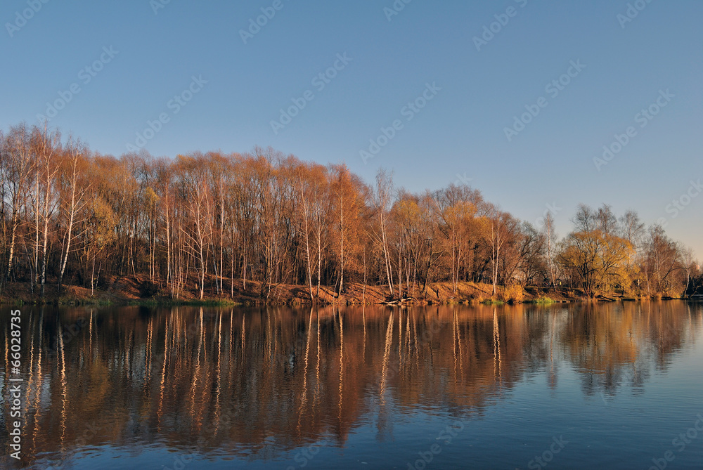 Fototapeta premium Серебряный Бор осенью