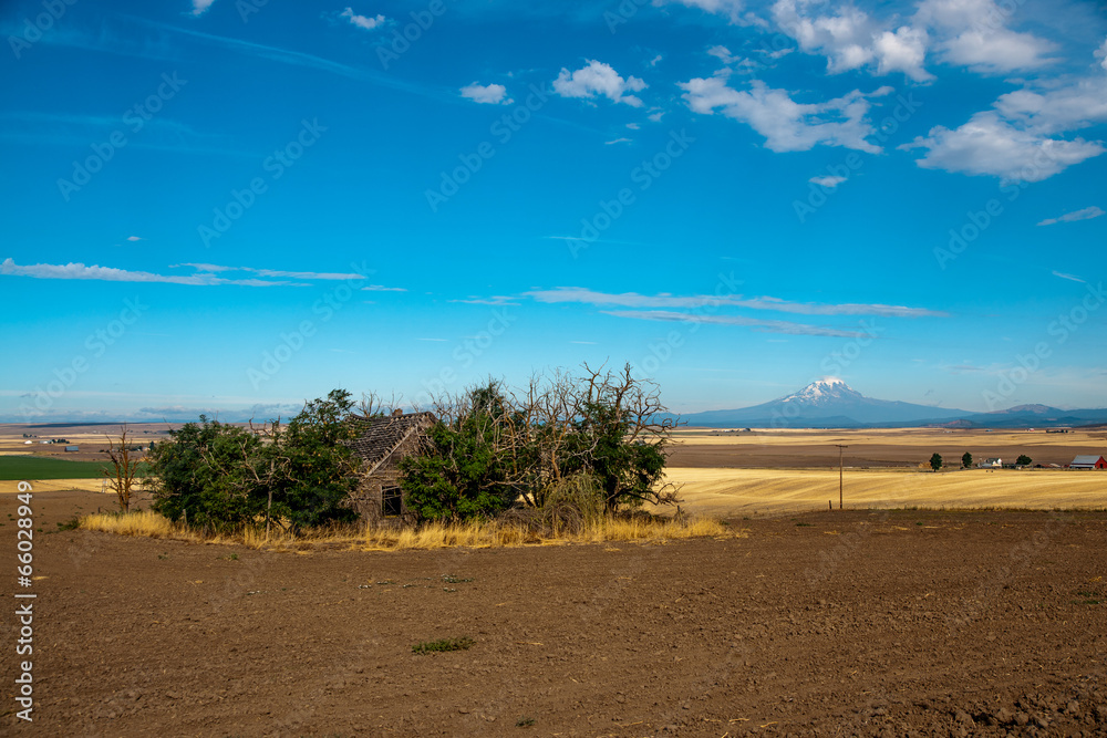 Fototapeta premium Rural Washington State