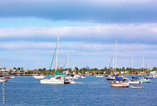 Yachts anchored in Miami city marina, Florida USA