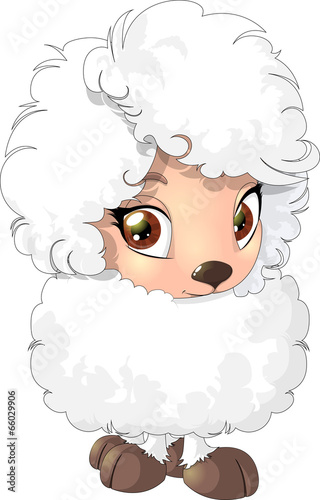 sheep
