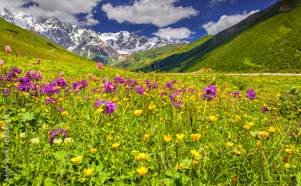 Beautiful view of alpine meadows in the Caucasus mountains.