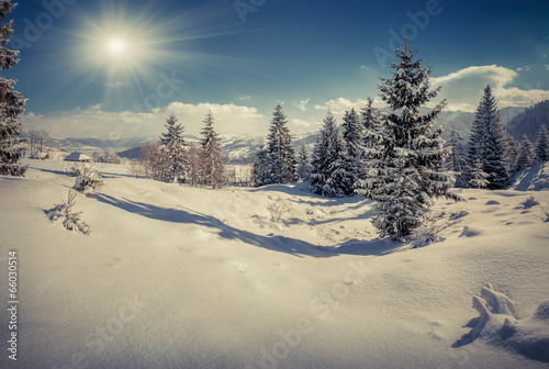 Winter landscape in the mountain village © Andrew Mayovskyy