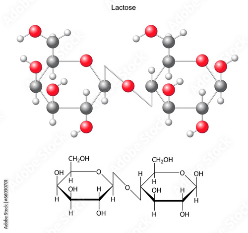 Structural chemical formula and model of  lactose