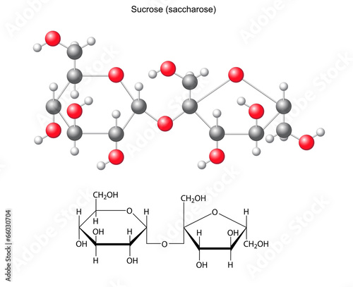 Structural chemical formula and model of sucrose (saccharose)