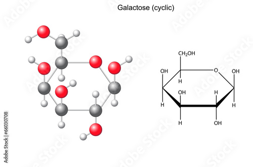 Structural chemical formula and model of galactose