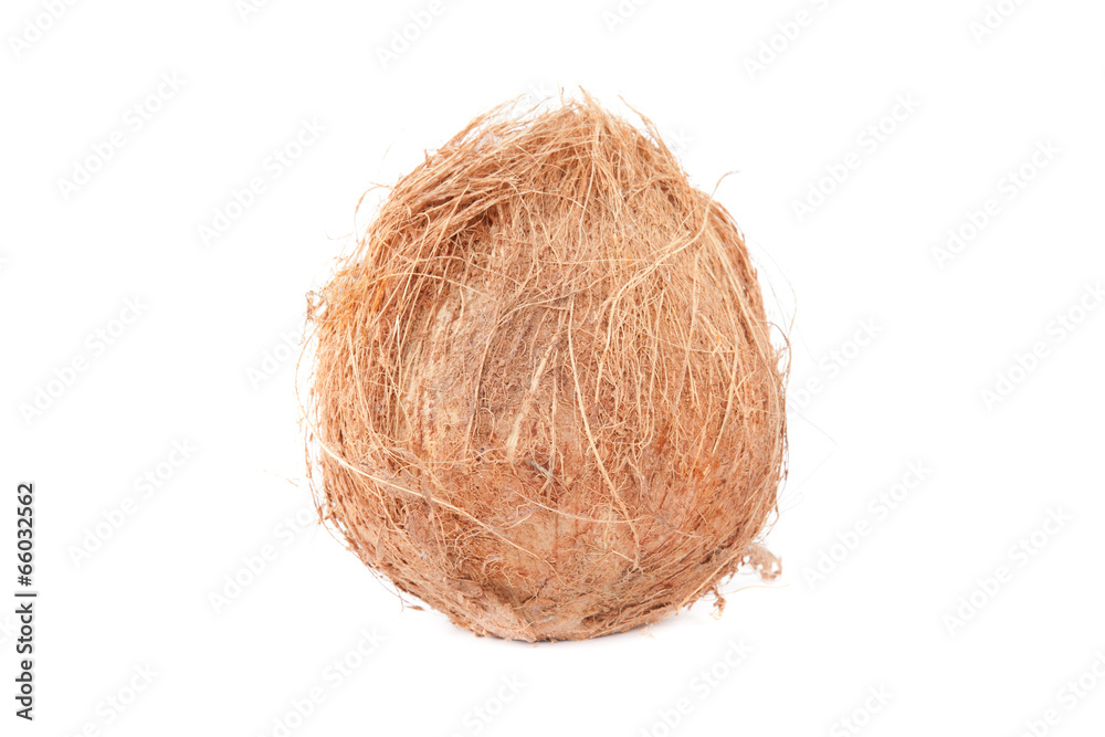 Coconut Coconut